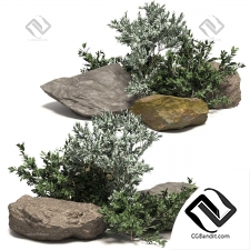 Stones with plants 03